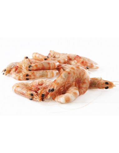 Langostino de Sanlúcar - 100g