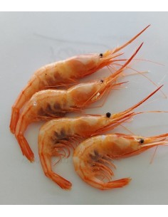 Camarón Real - 100gr