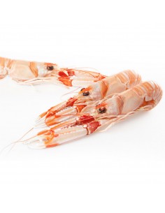 Comprar cigalas marisco a domicilio - Romerijo