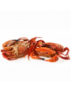 Comprar Nécoras - Marisco a domicilio Romerijo