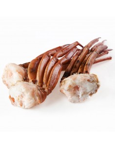 copy of Patas rusas medianas