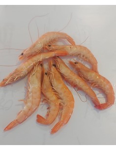 Langostino Blanco - 100grs