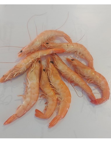Langostino Blanco - 100grs